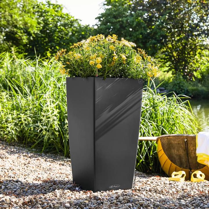 Image du produit Lechuza cubico (39.50 cm)