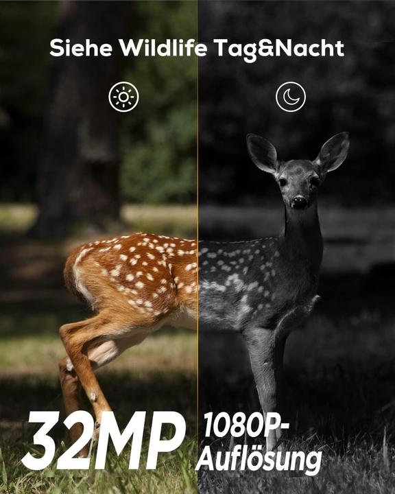 Actual product image iZeeker Wildkamera mit Bewegungsmelder und Nachtsicht