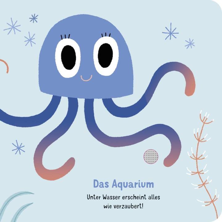 Actual product image Are you listening to 'The Carnival of the Animals'? (German)
