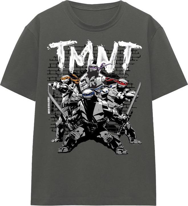 Produktbild Teenage Mutant NT TMNT Team TShirt (L)