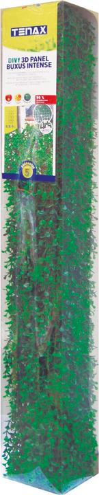 BUXUS INTENSE - Grün