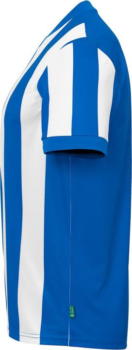 Actual product image Uhlsport Retro Stripe (XL)