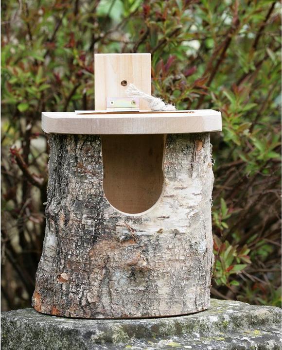 Actual product image Wildlife World Rotkehlchen