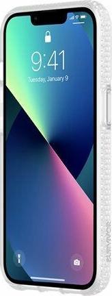 Image du produit Griffin Survivor Clear (Apple iPhone 13 Pro)
