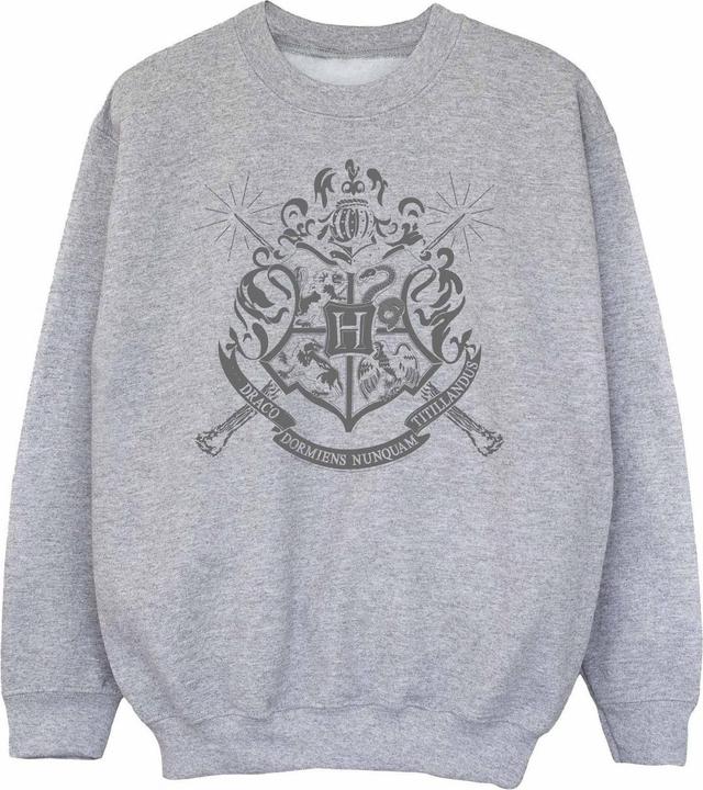 Image du produit Sweat à écusson baguettes de Poudlard pour filles (140, 146)