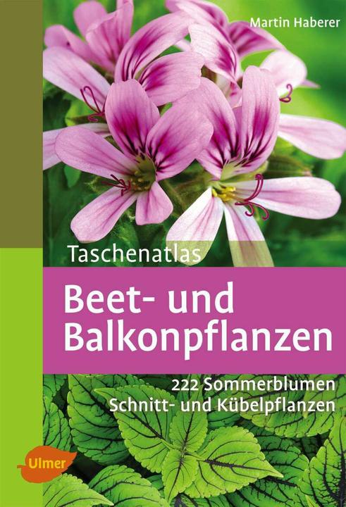 Produktbild Taschenatlas Beet- und Balkonpflanzen (Deutsch, Martin Haberer, 2013)