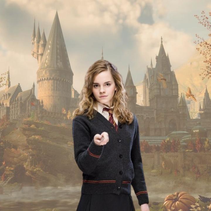 Actual product image Noble Collection Harry Potter Wand Hermione Granger (Character Edition)