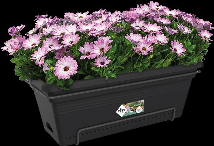 Produktbild Elho Balkkonkistchen All-In-One (34 cm)