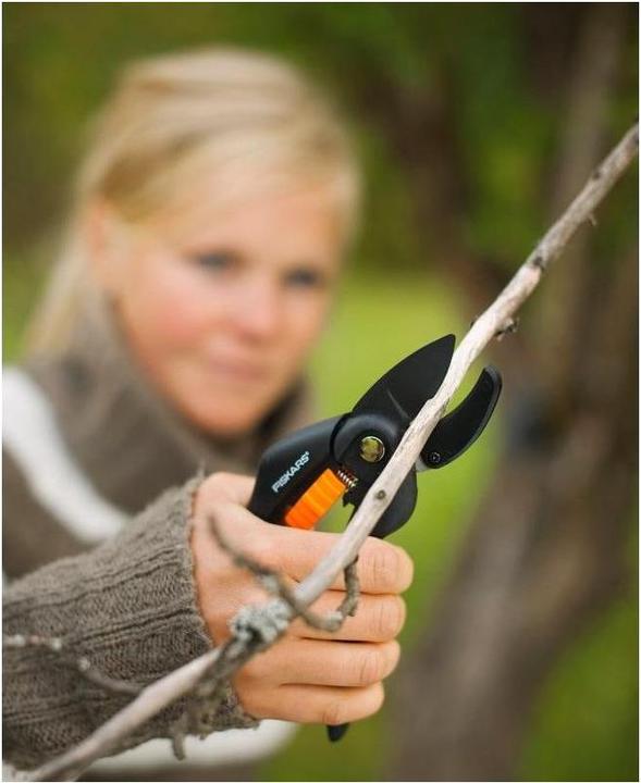 Actual product image Fiskars Garden shears anvil SingleStep