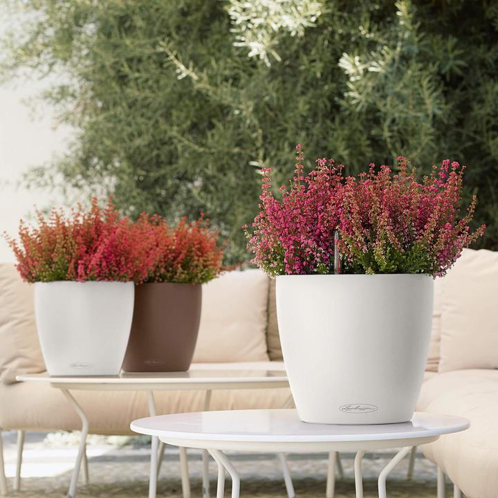 Image du produit Lechuza CLASSICO Couleur 18 (19 cm)