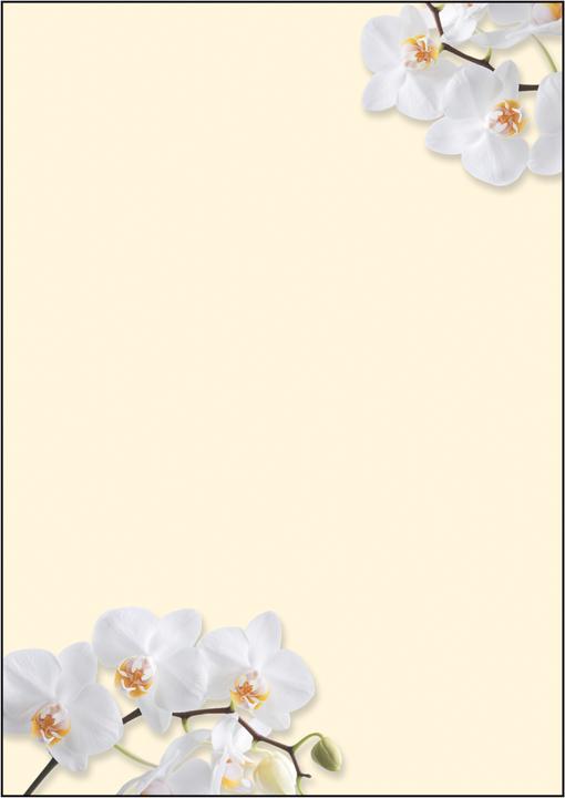 Actual product image Sigel Design paper (90 g/m², 50 x)