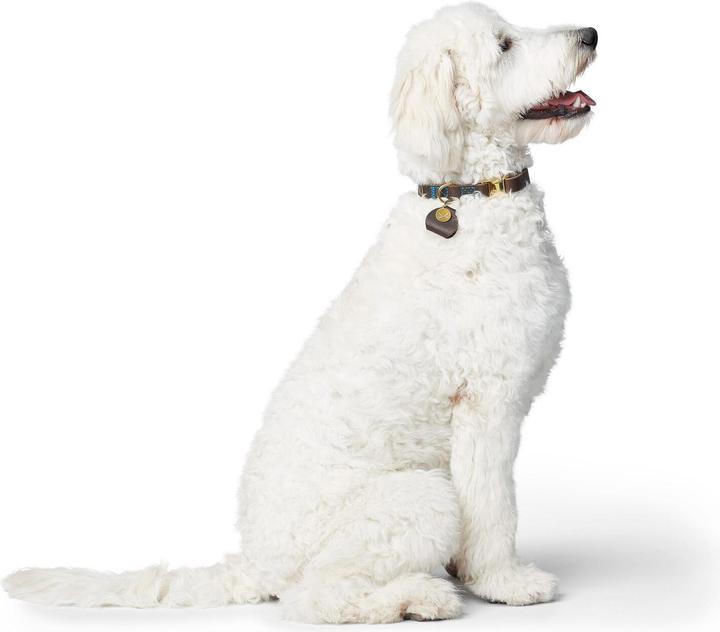 Image du produit Hunter Collier de chien Zanzibar (40, 41, 42, 43, 44, 45, 46, 47, 48, 49, 50, 52, 54, Chien, Général)