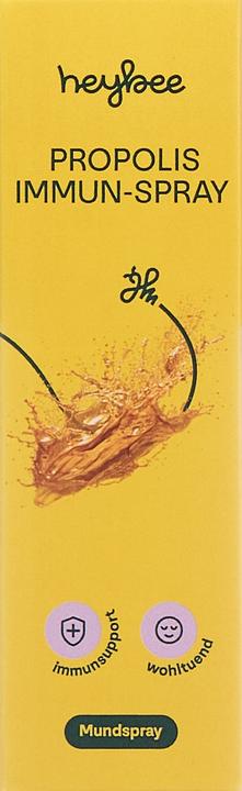 Produktbild Heybee Propolis Immun Spray (1 Stück, Spray, 52 g)