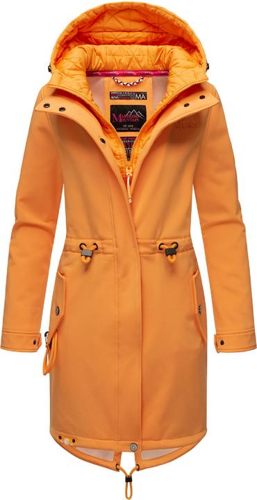Apricot sorbet