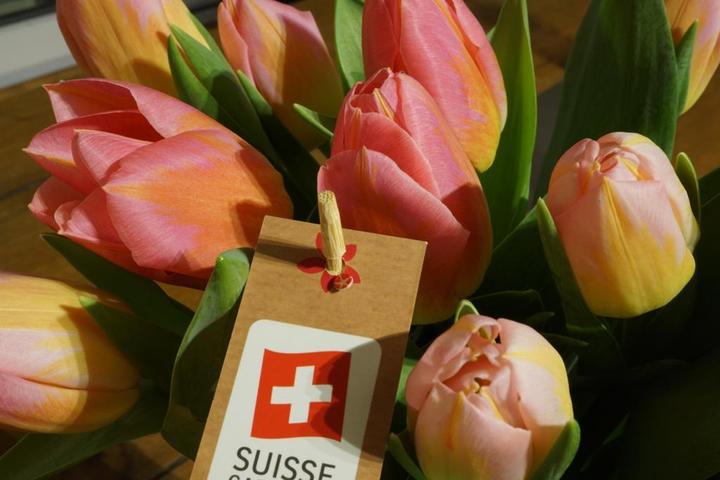 Actual product image Rutishauser Blumen Tulips mix (Cut flowers)
