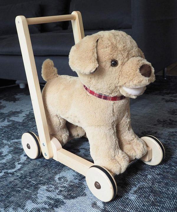 Actual product image little bird told me Dexter Dog Push Along