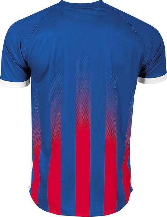 Produktbild Stanno Vivid Trikot (164)