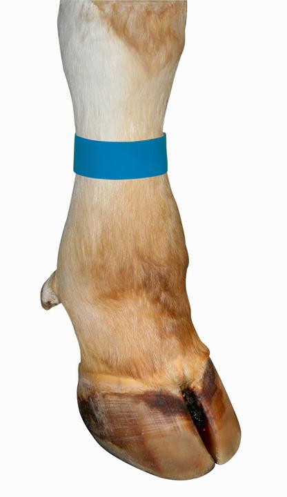 Produktbild Markierungsbänder für Kühe, mit Klettverschluss, Farbe gelb, 10er Pack