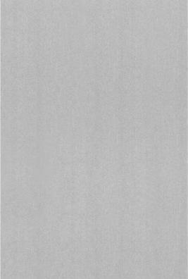 Immagine prodotto Stewo Carta da pacchi - foglio 70 x 100 cm (Carta da regalo, 1 x)