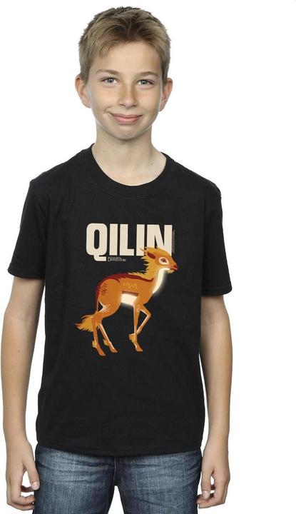 Actual product image Fantastic Beasts Boys Qilin Character T-Shirt (128)