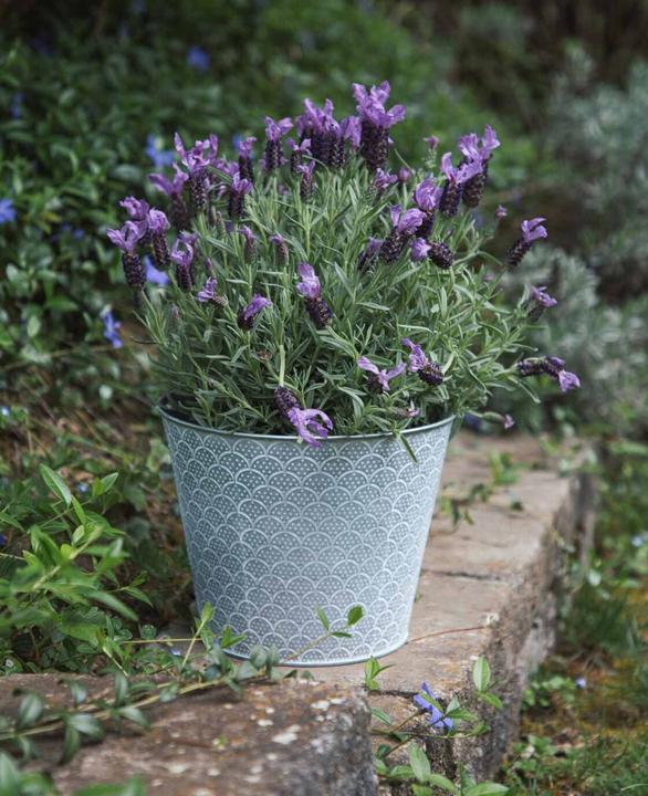Actual product image Esmée Flower pot / planter Orient, sheet metal (23 cm)