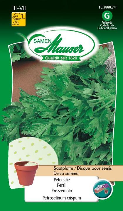 Actual product image Samen Mauser Parsley seed plate (Herb seeds)
