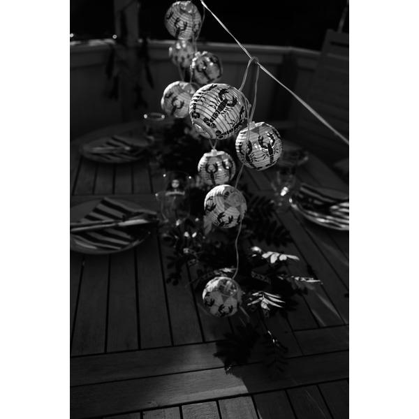 Image du produit Star Trading Guirlande lumineuse Crayfish Party Fonctionne avec des piles (1.40 m)