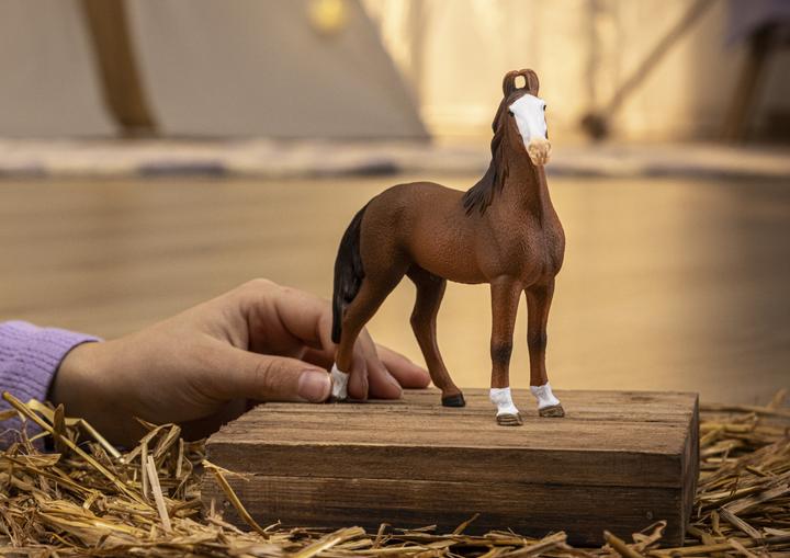 Produktbild Schleich Marwari Stute