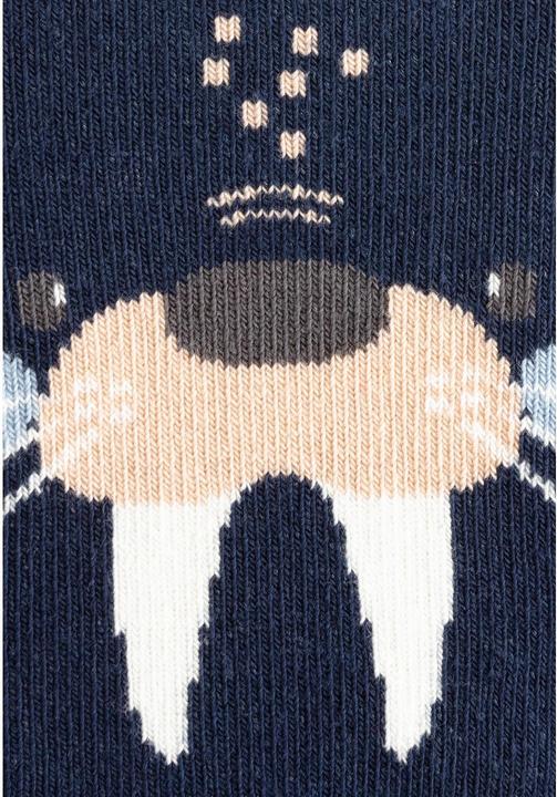 Actual product image Sterntaler Walross (Single pack, 24)