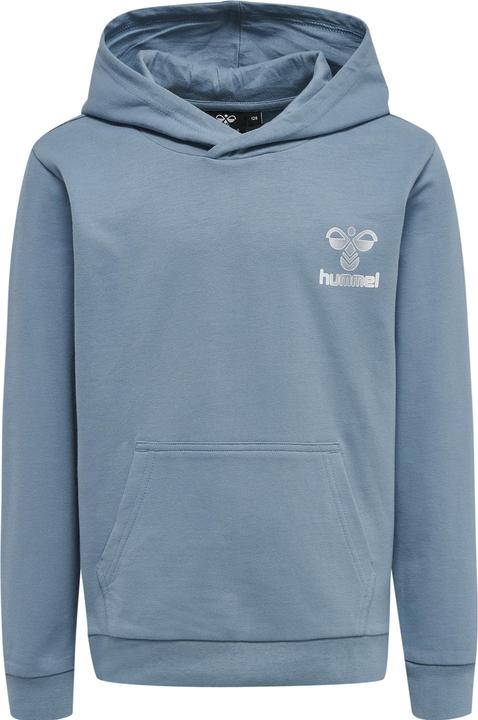 Actual product image hummel Proud Hoodie (122)