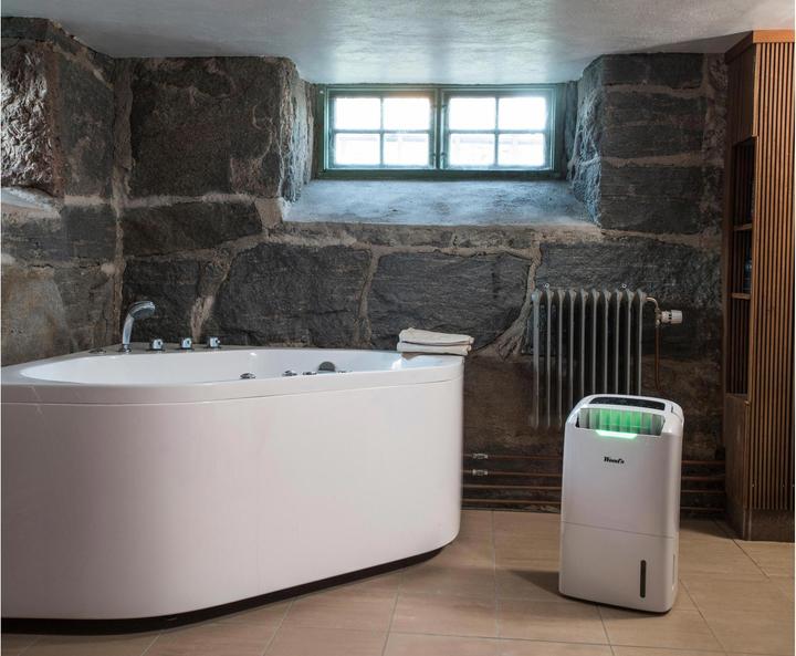 Immagine prodotto Wood's Ad20 (100 m², 22 l/24h)