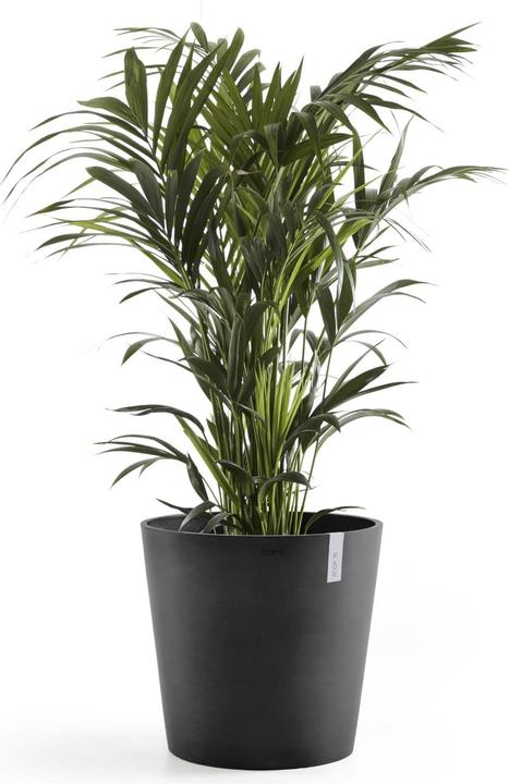 Produktbild Ecopots Amsterdam + Wasserbehälter (50 cm)