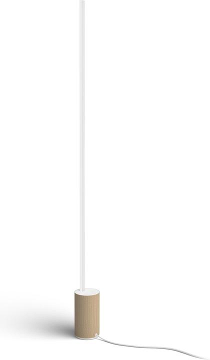 Philips Hue Dégradé Hue (2550 lm)