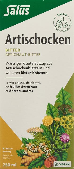 Actual product image Salus Artichoke bitters (1 Piece, Liquid, 606 g)