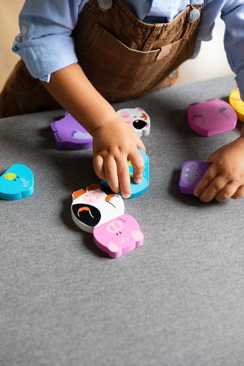Immagine prodotto Goula Puzzle Animali magnetici (12 pezzi)