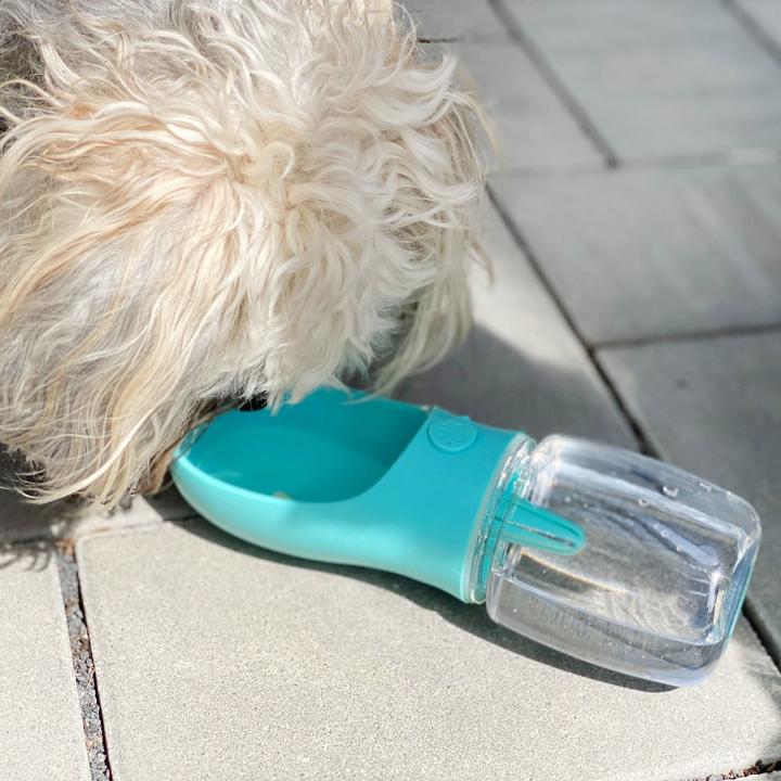 Actual product image Intirilife Portable Dog Drinking Bottle (0.35 l)