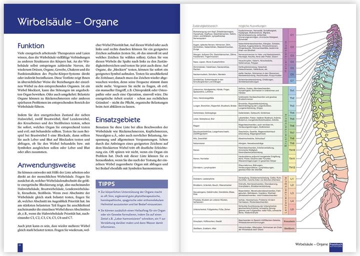Image du produit Praxisbuch Neue Homöopathie (Allemand, Roswitha Stark, 2022)