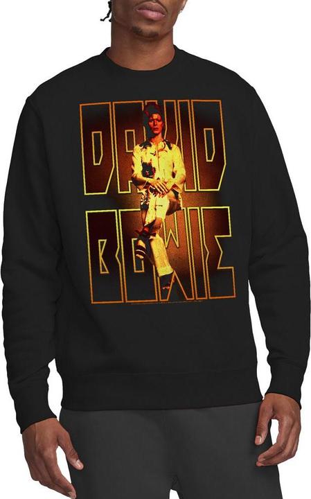 Produktbild David Bowie Perched Sweatshirt (XL)