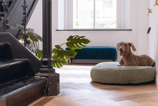 Actual product image Designed by Lotte Ribbed divan bed (Dog)