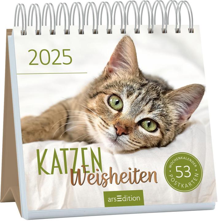 Produktbild Postk.Kalender Katzenweisheiten (17 x 17 cm, Deutsch)