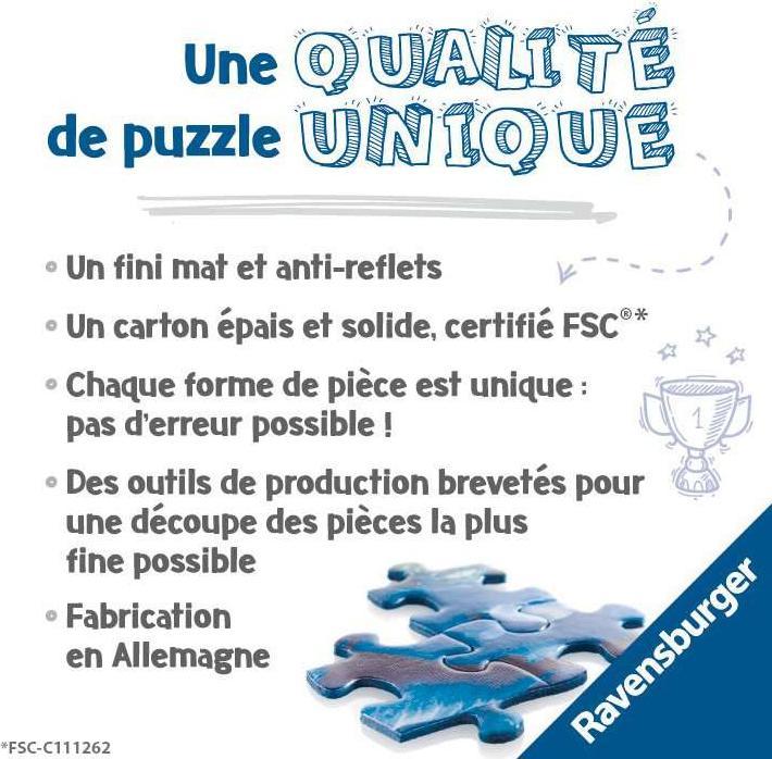 Actual product image Ravensburger Chaos in the gallery puzzle (1000 pieces)