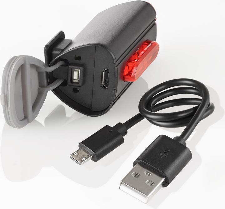Actual product image Fischer Twin