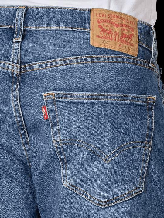 Image du produit Levis 10018270 (W31/L30)