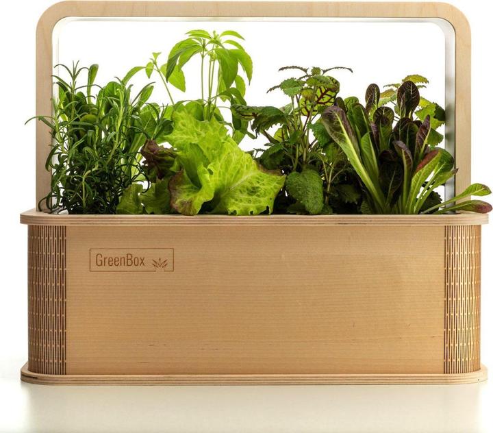 Image du produit BerlinGreen GreenBox Great Variety Bundle