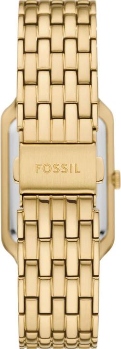 Actual product image Fossil Raquel (26 mm)