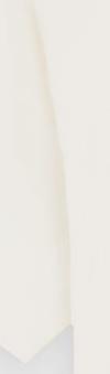 Actual product image Dickies Aitkin Tee Egret (S)