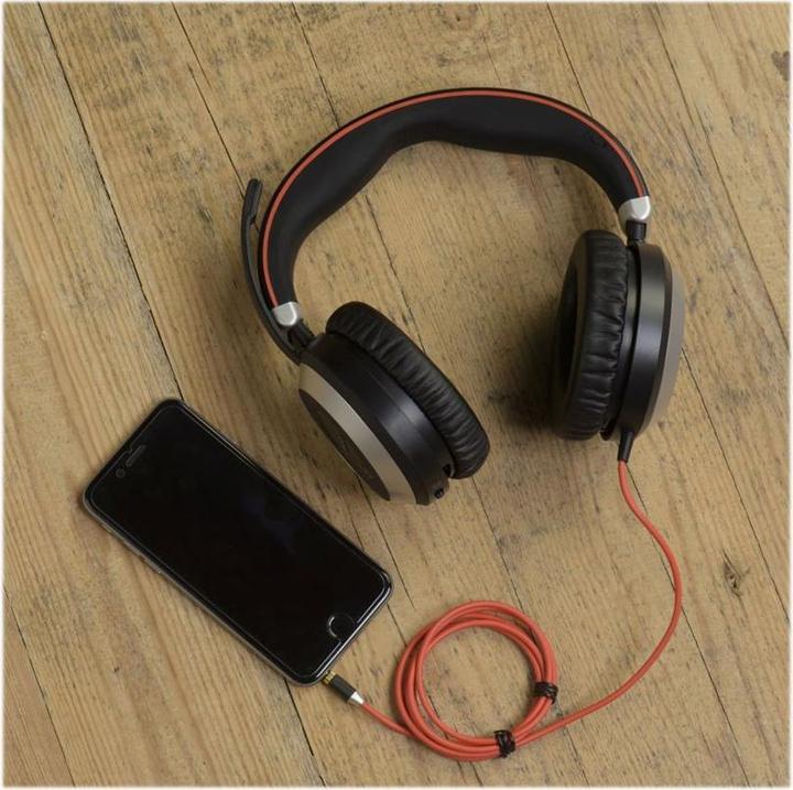 Actual product image Jabra Evolve 80 (Cable, USB-A)