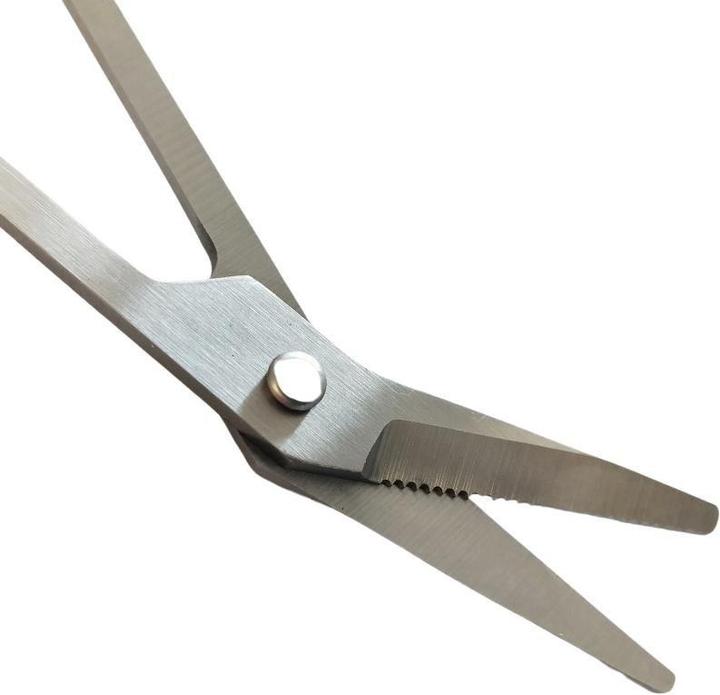 Actual product image Wellys Pedicure scissors