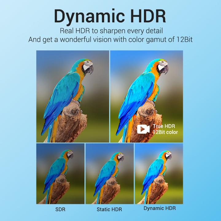 Produktbild Vention HDMI (Typ A) — HDMI (Typ A) (1 m, HDMI)