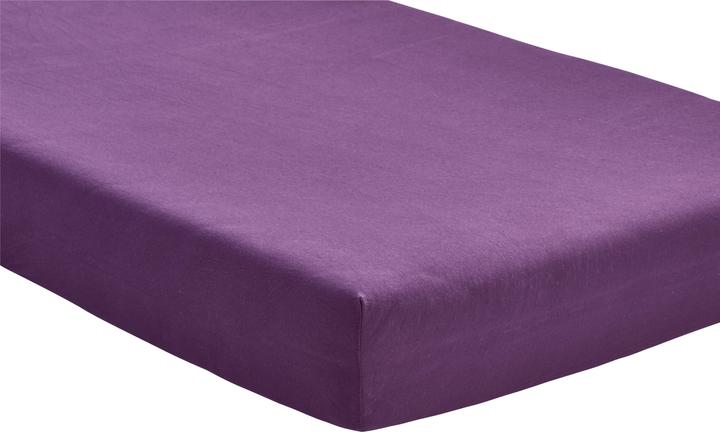 Aubergine